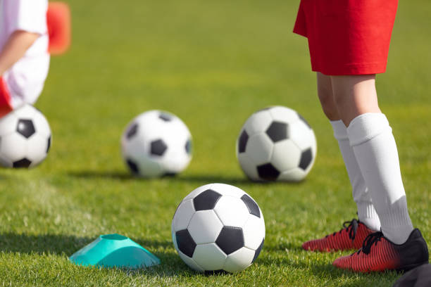 Soccer balls and cones on grass